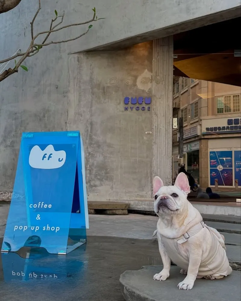 fufu hygge pet cafe 3