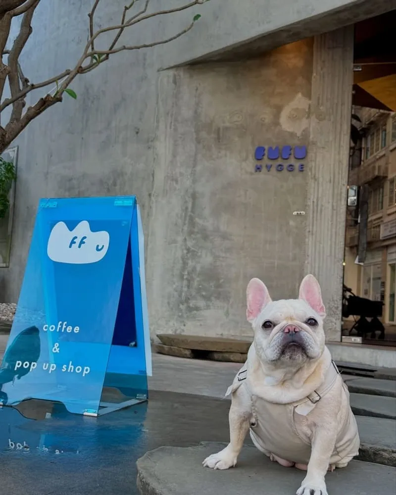 fufu hygge pet cafe 9