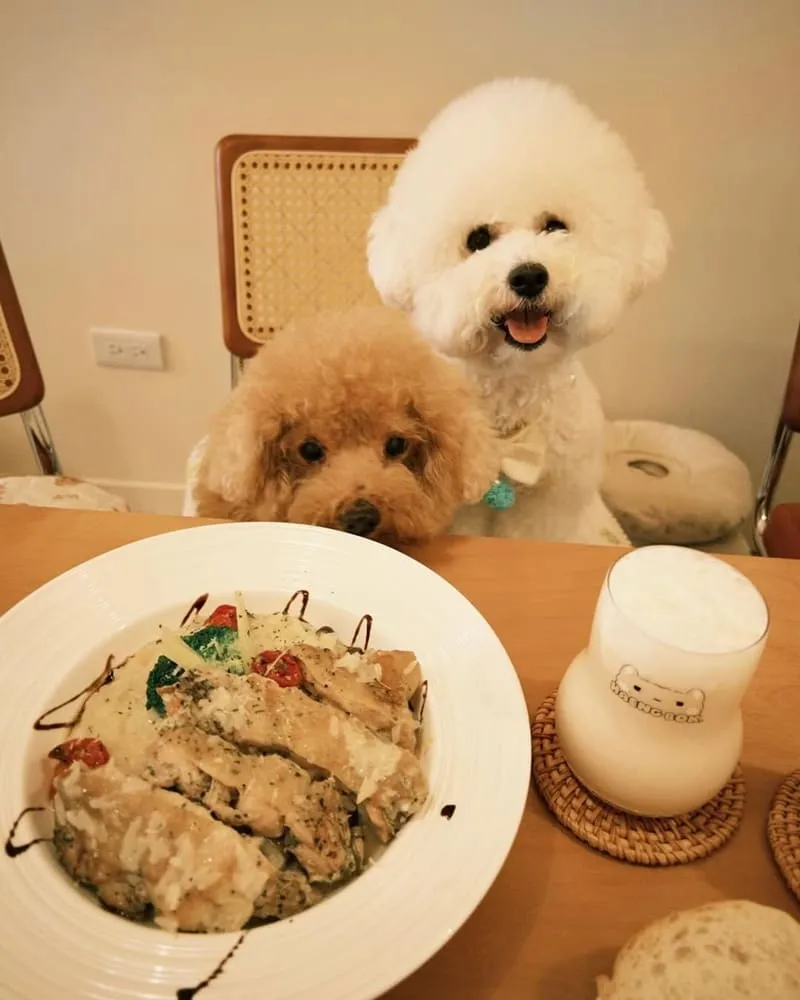 haeng bok 哼飽K