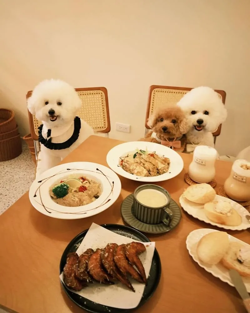 haeng bok 哼飽K