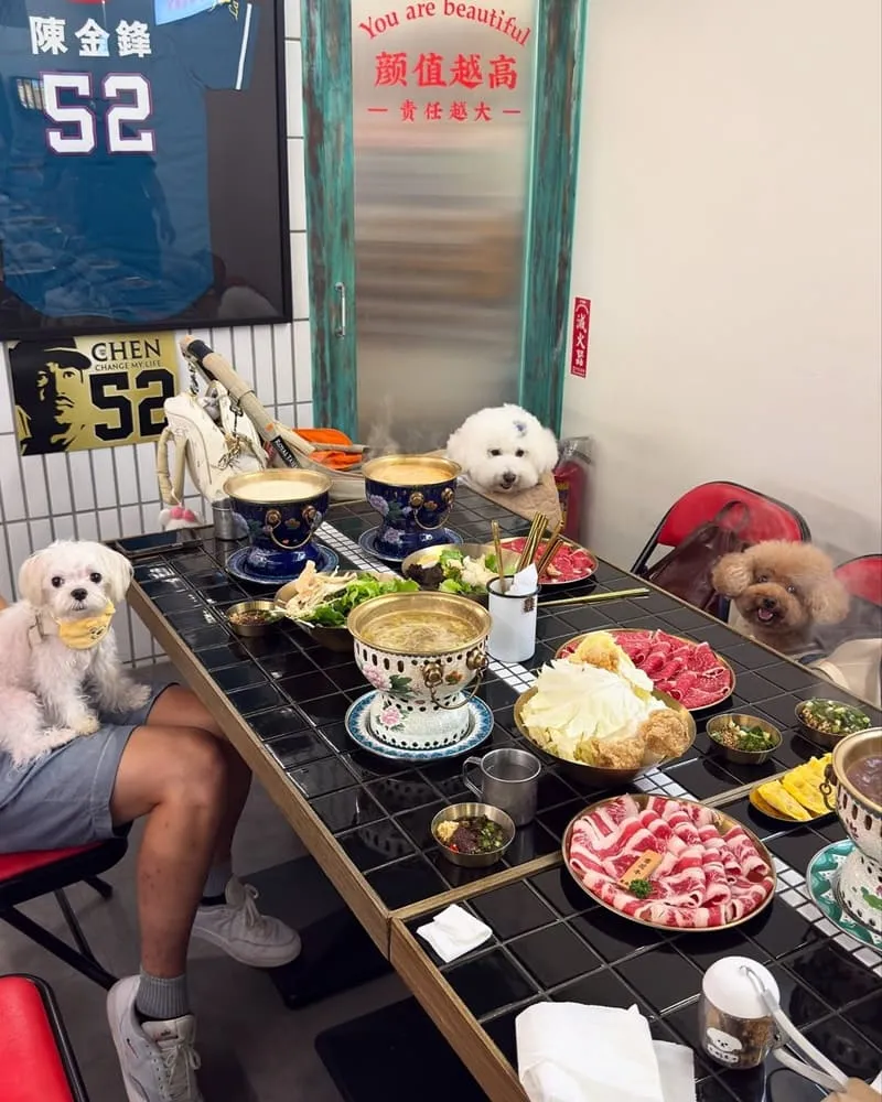 囍鍋子青埔A17店