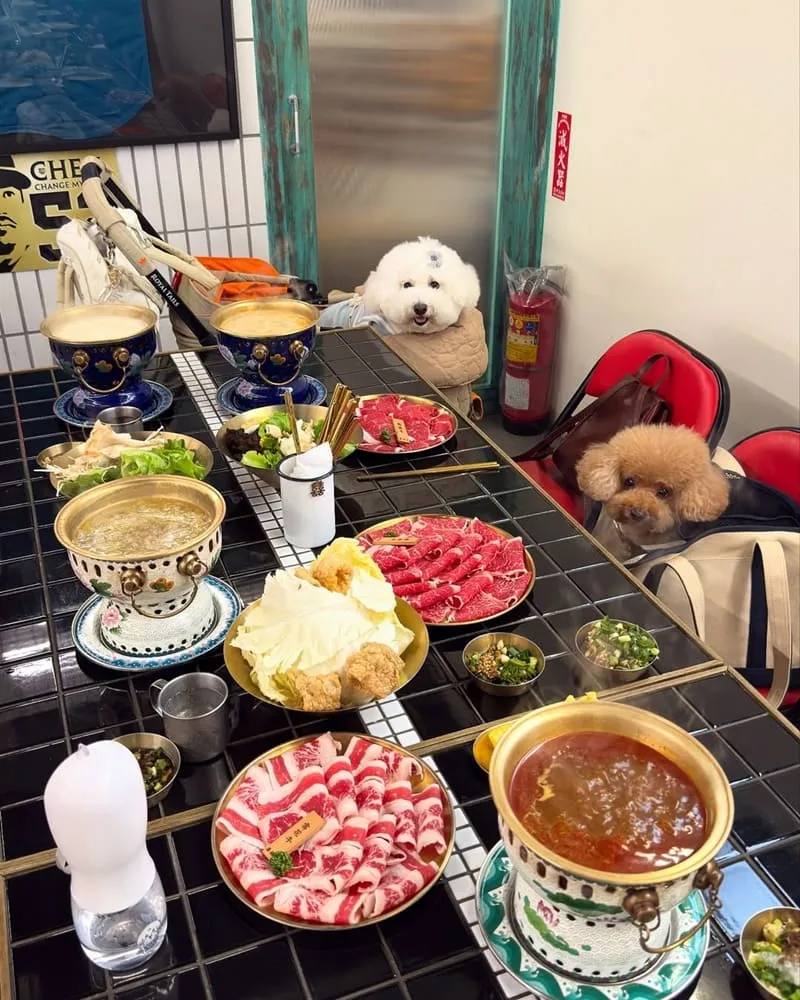 囍鍋子青埔A17店