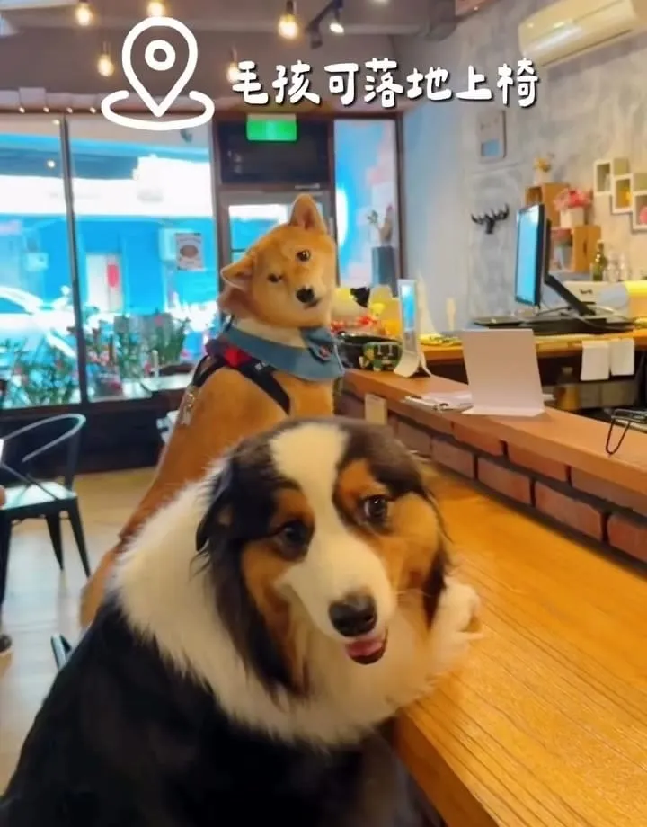 禾冬咖啡 Hedong cafe