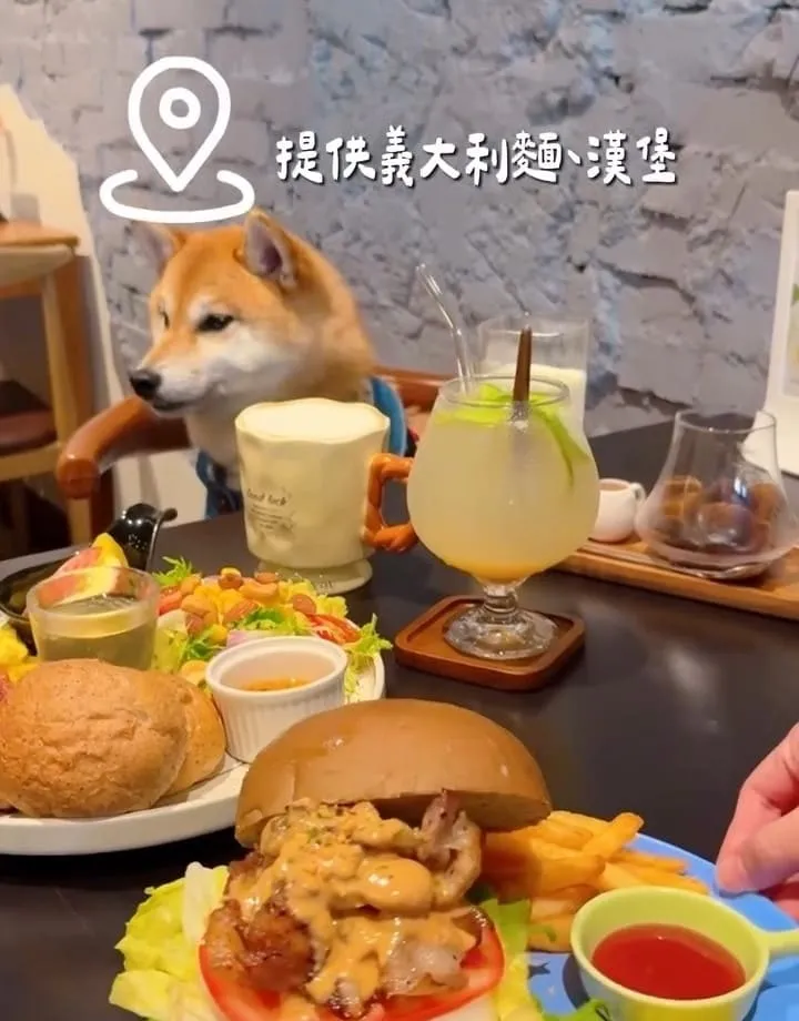 禾冬咖啡 Hedong cafe