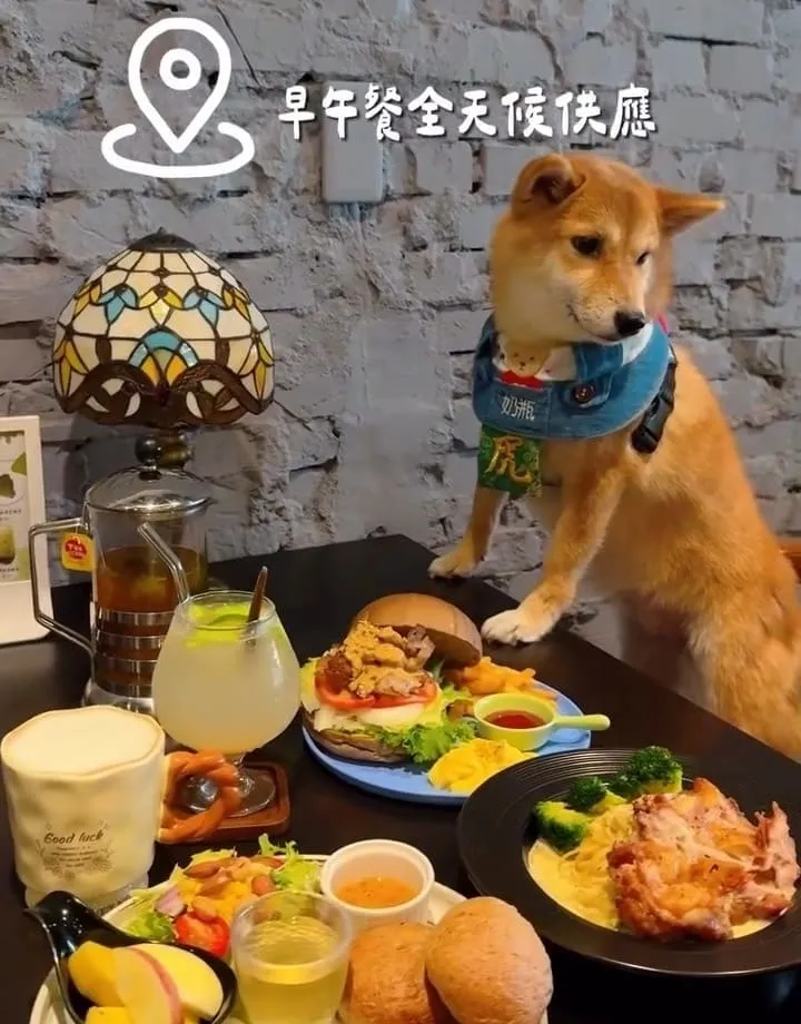 禾冬咖啡 Hedong cafe