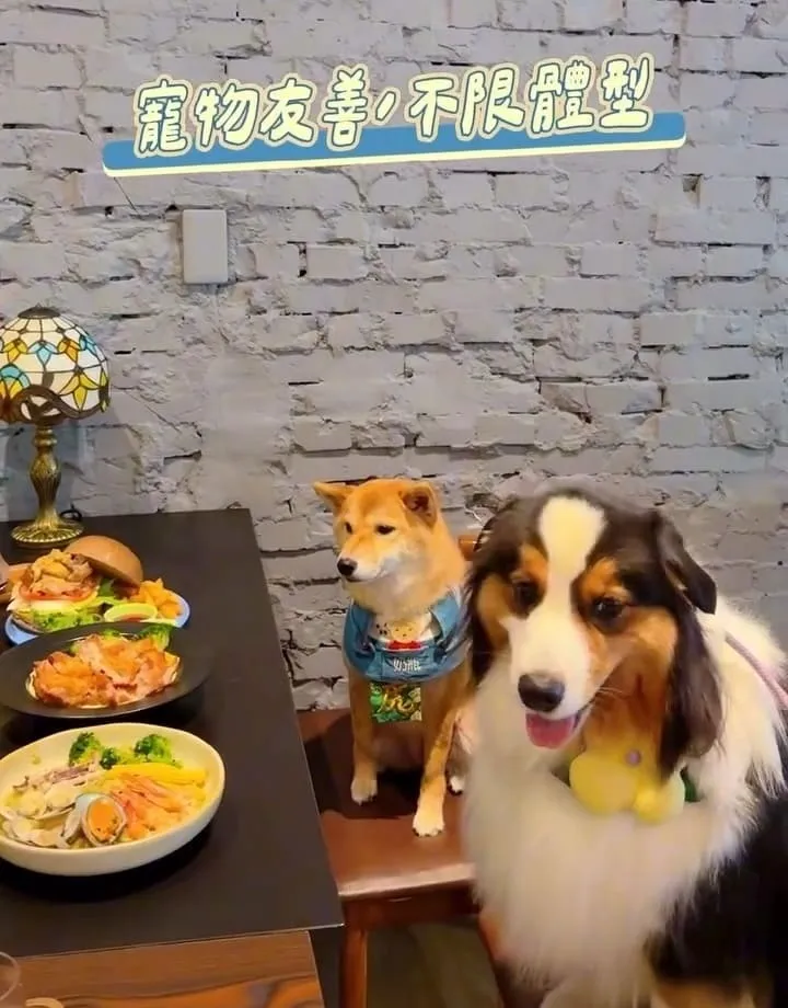 禾冬咖啡 Hedong cafe