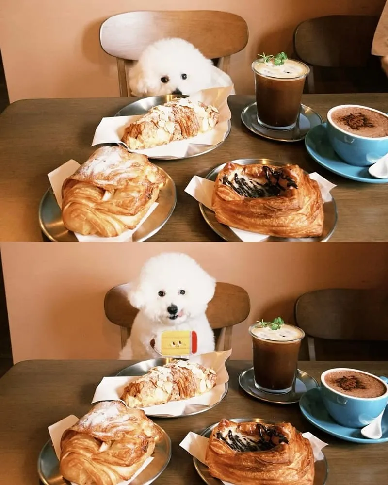 烘焙旅程 HOME BAKE WITH JARED