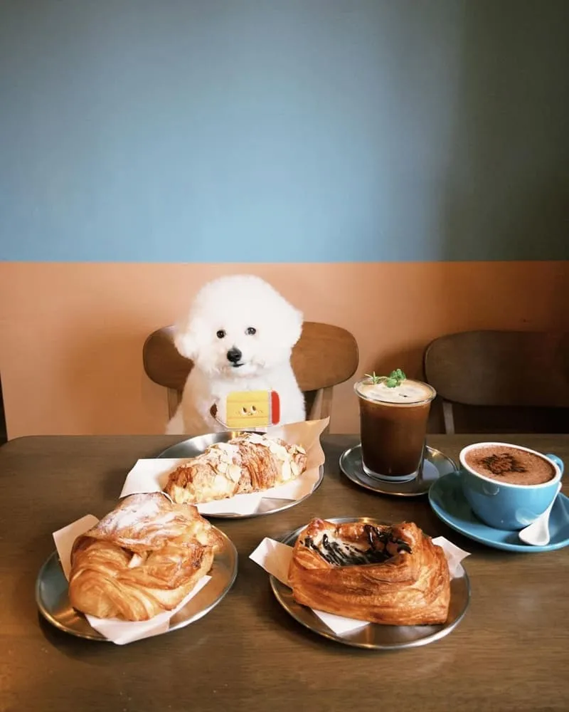 烘焙旅程 HOME BAKE WITH JARED