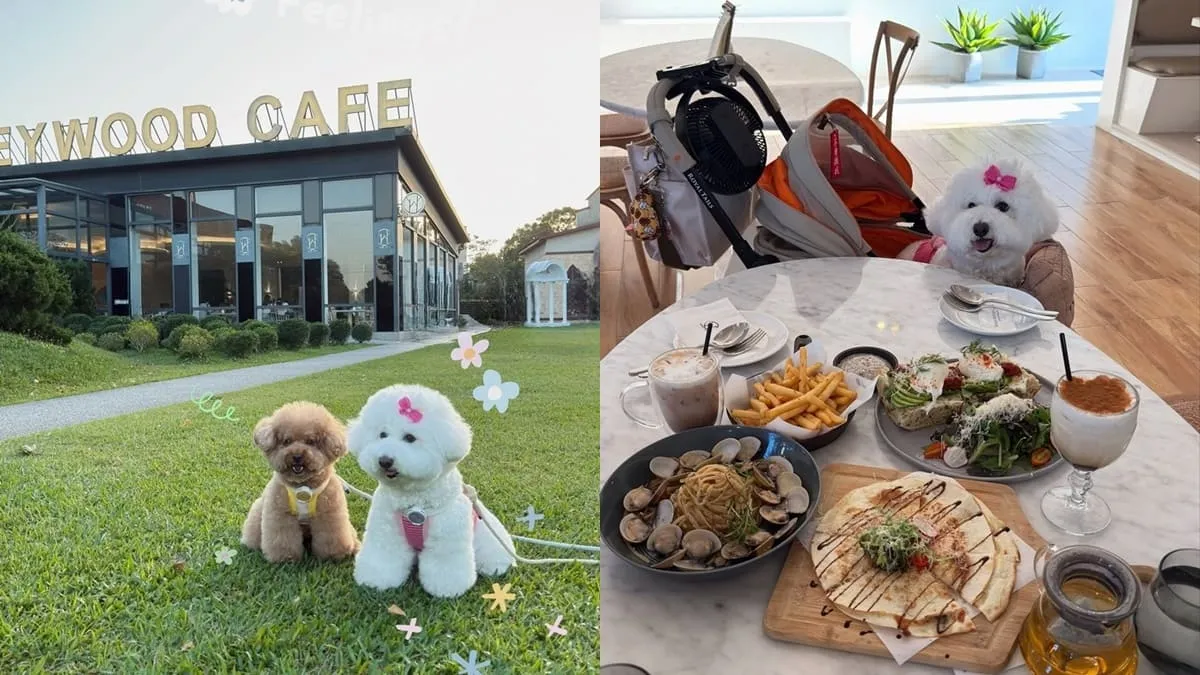 晶麒莊園HoneyWood Cafe
