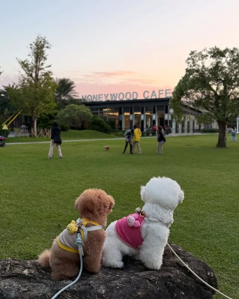 晶麒莊園HoneyWood Cafe