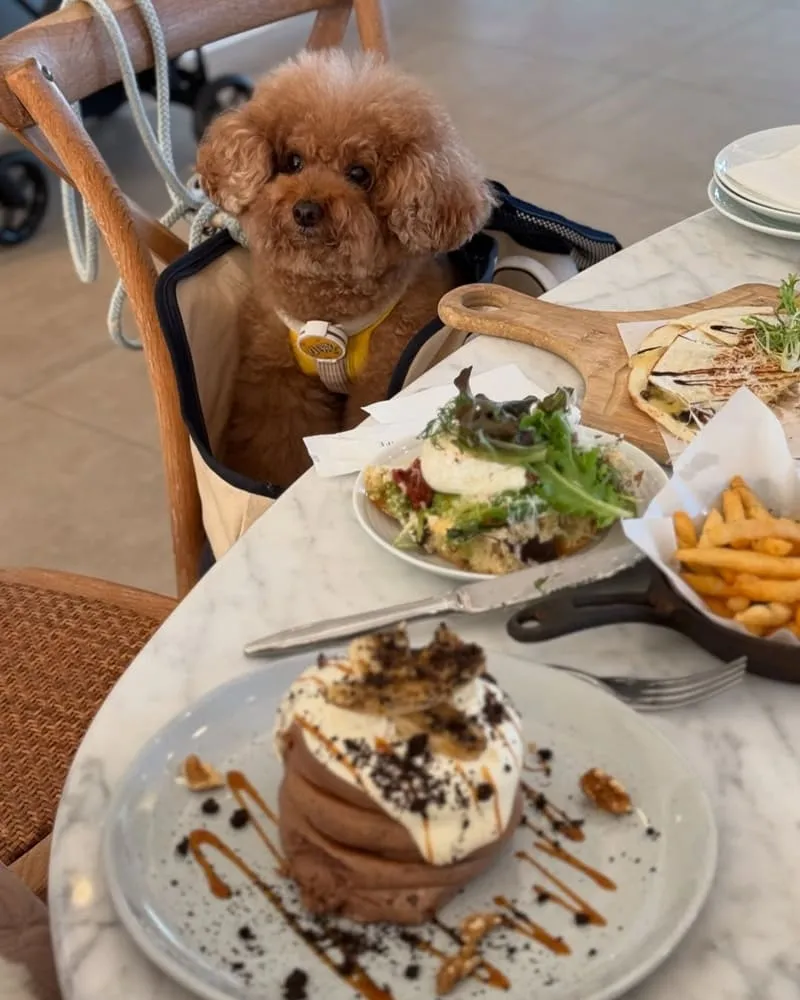 晶麒莊園HoneyWood Cafe