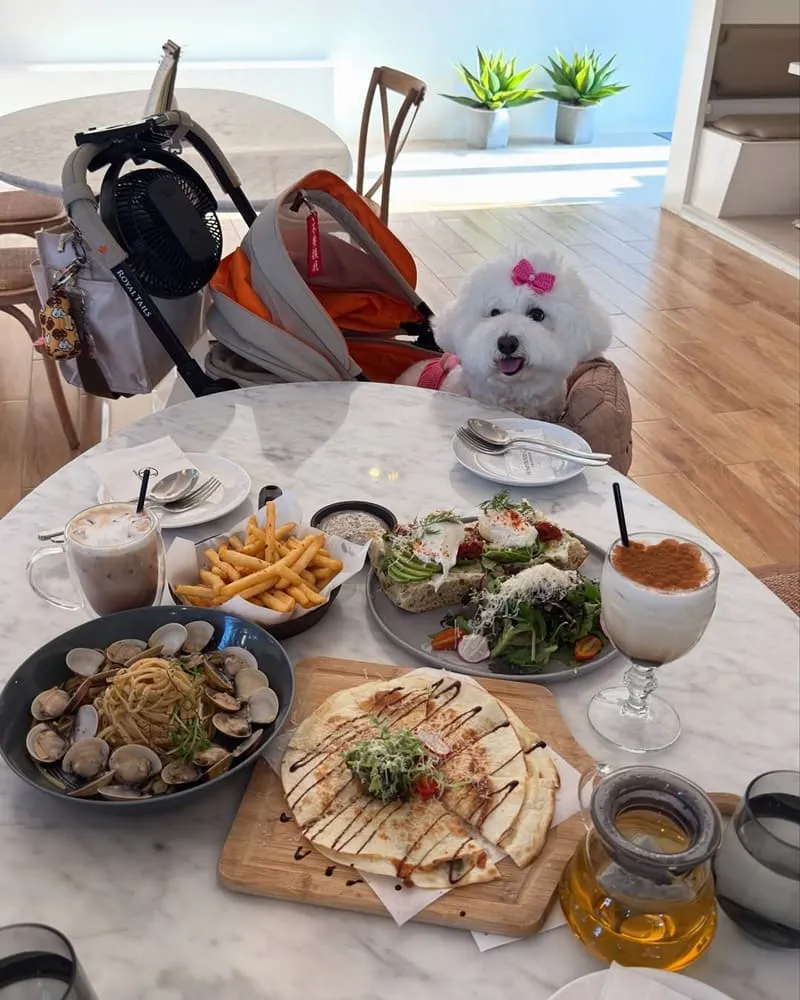 晶麒莊園HoneyWood Cafe