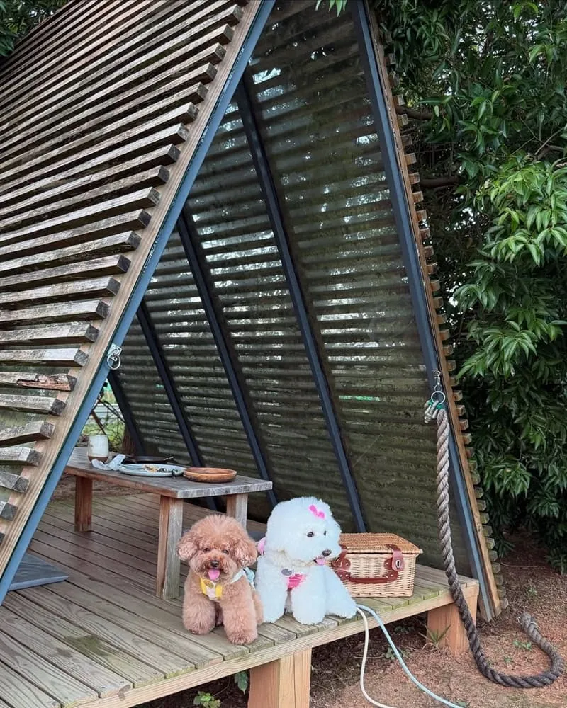 晶麒莊園HoneyWood Cafe