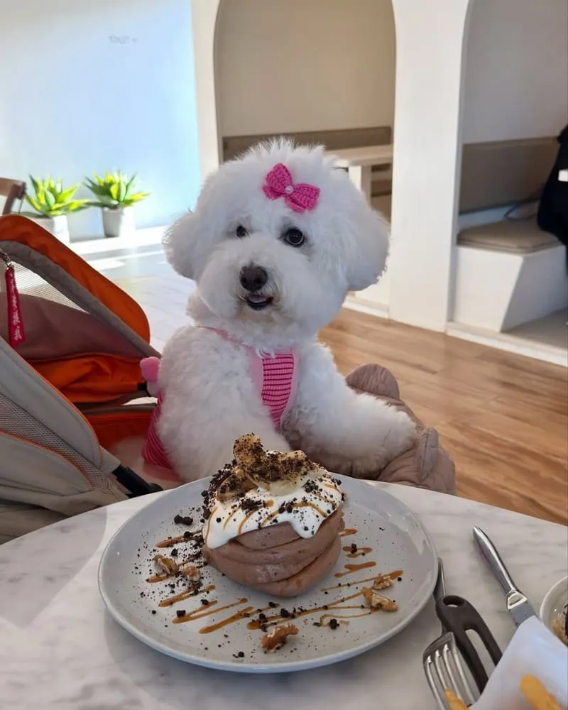 晶麒莊園HoneyWood Cafe