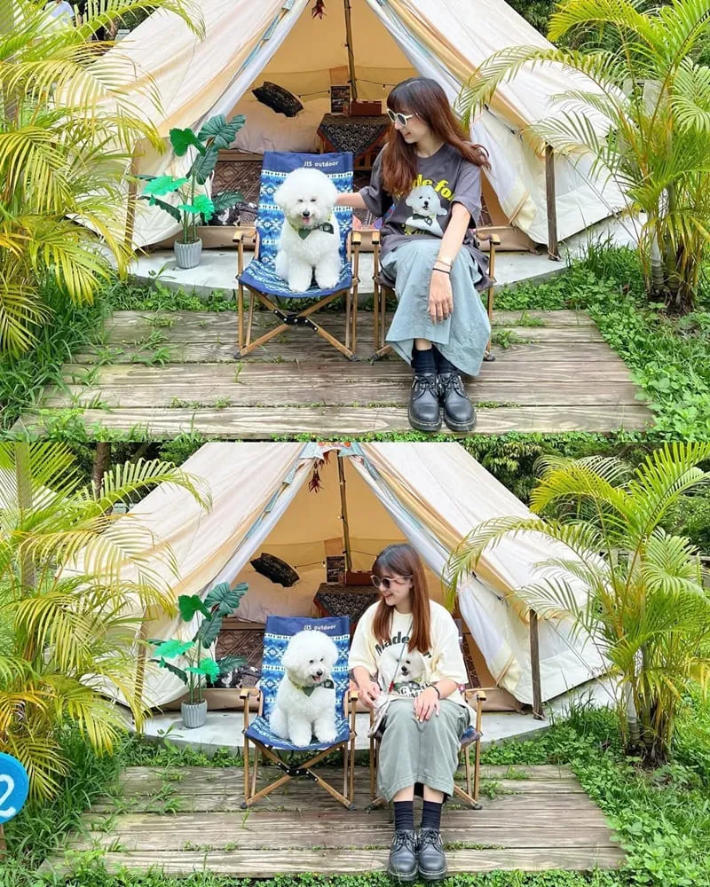 嬉皮國度入樹二村