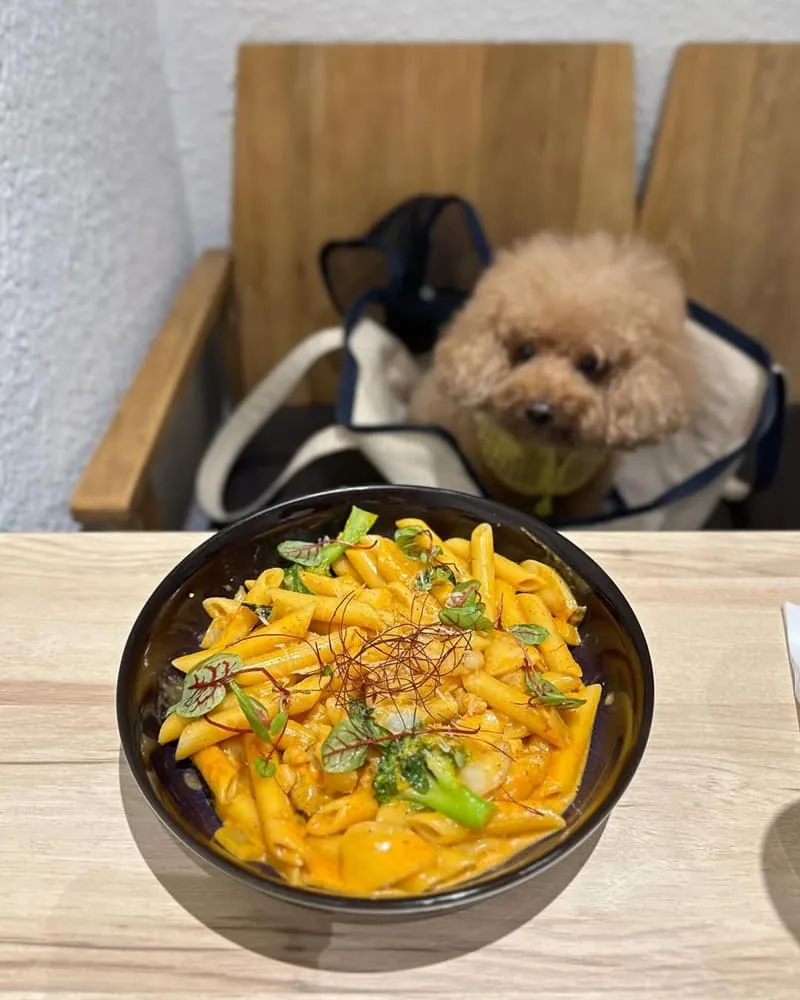 木義義式料理藝文特區