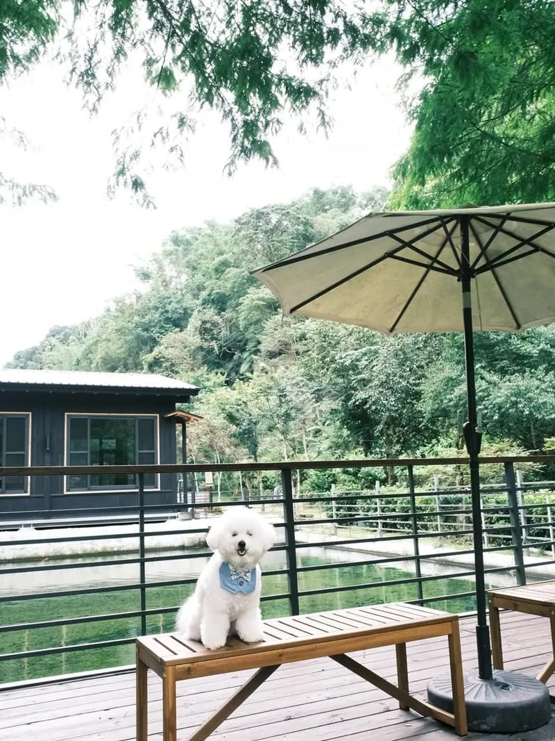 金井珈琲 Kanei Coffee