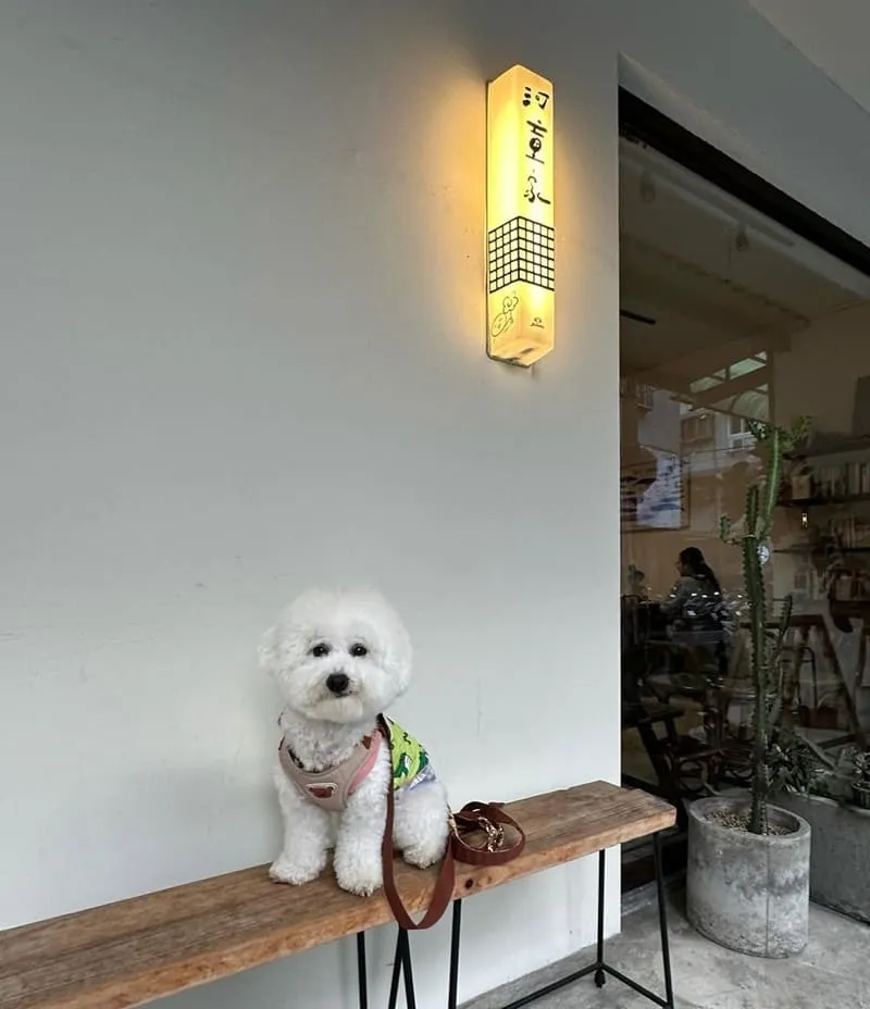 河童家 かっぱや