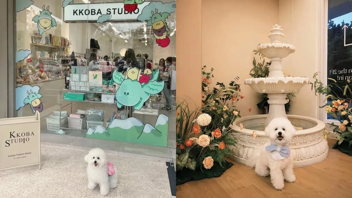 KKOBA APARTMENT台南韓系文創選物