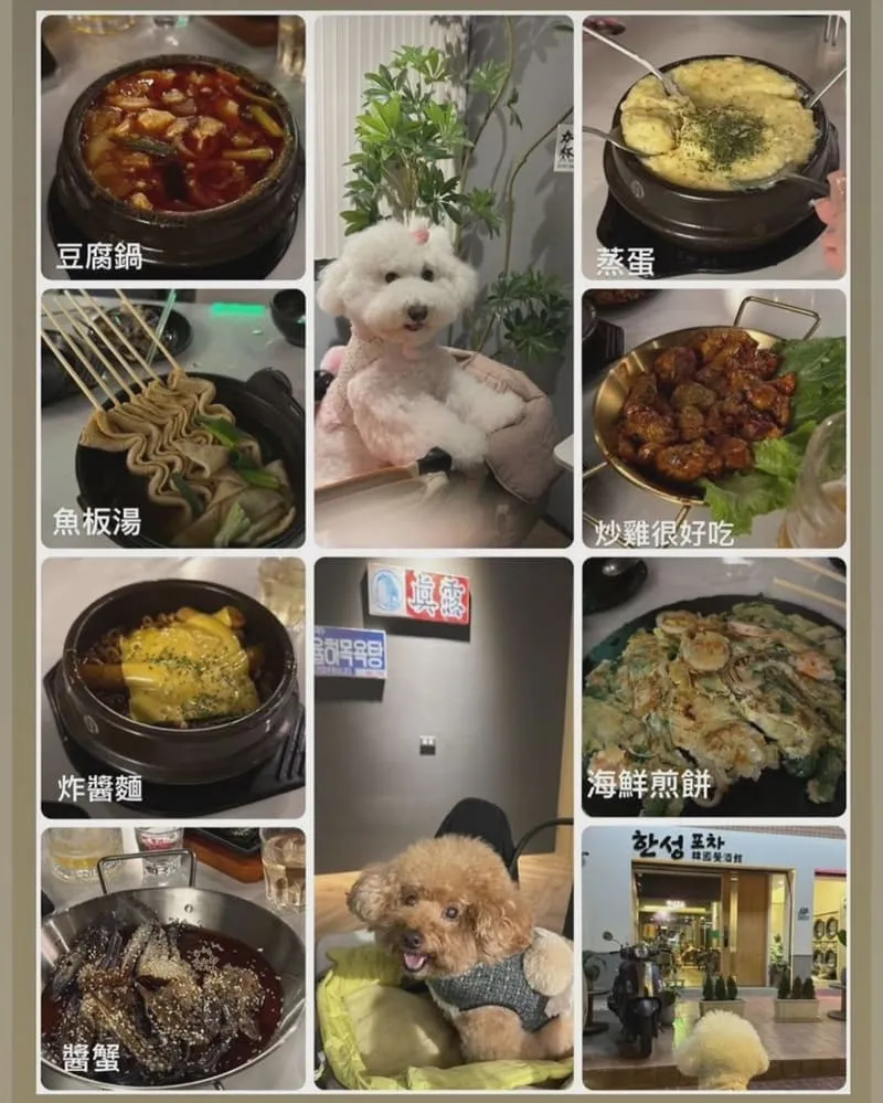 韓城Pocha-道地韓式料理
