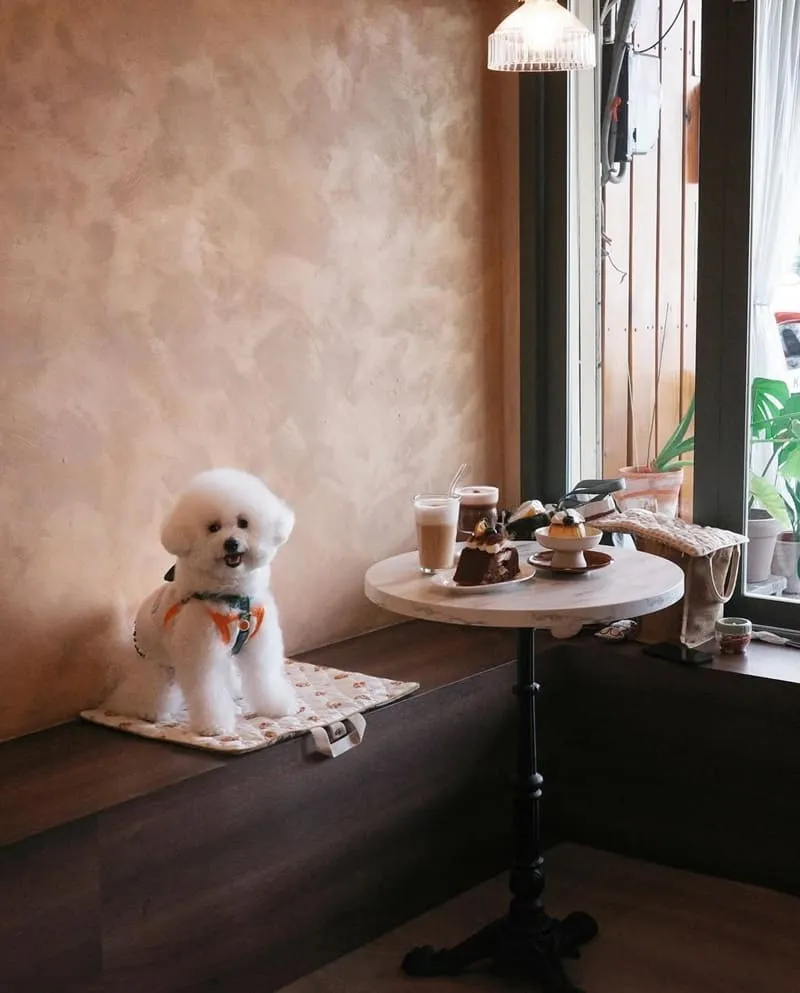 樂瑞比咖啡 Les Amis café