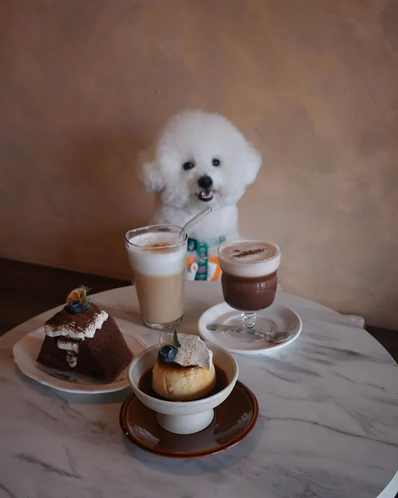 樂瑞比咖啡 Les Amis café