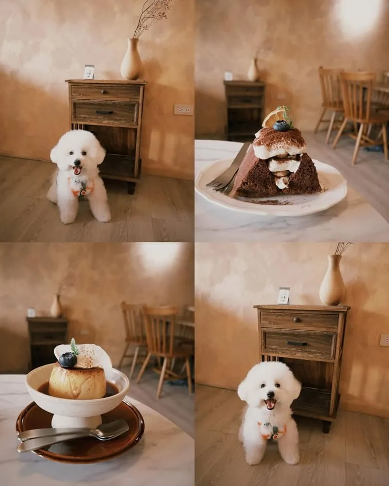 樂瑞比咖啡 Les Amis café