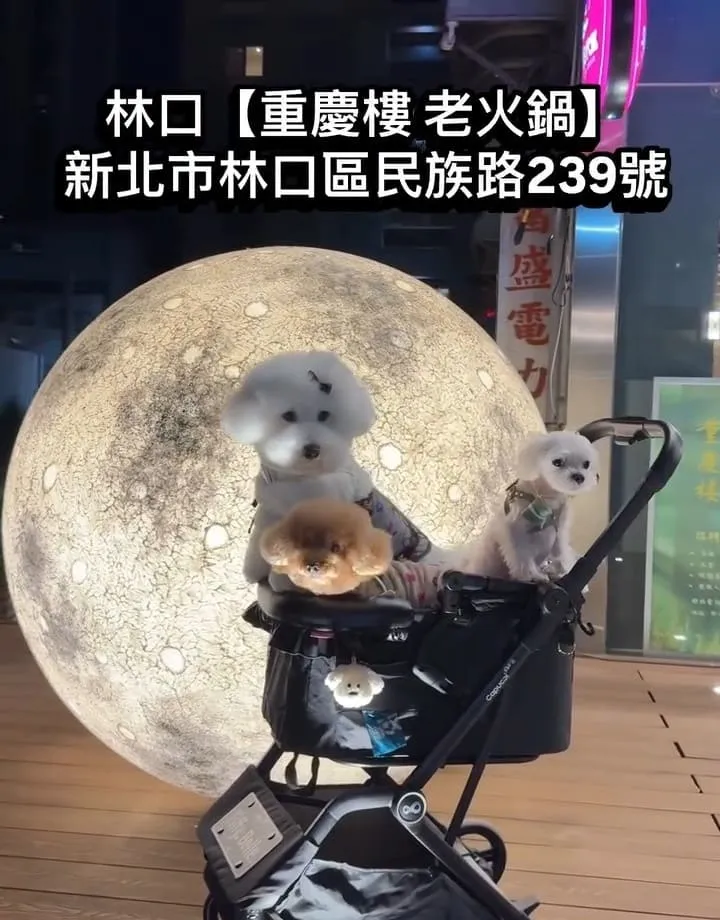 林口重慶樓老火鍋