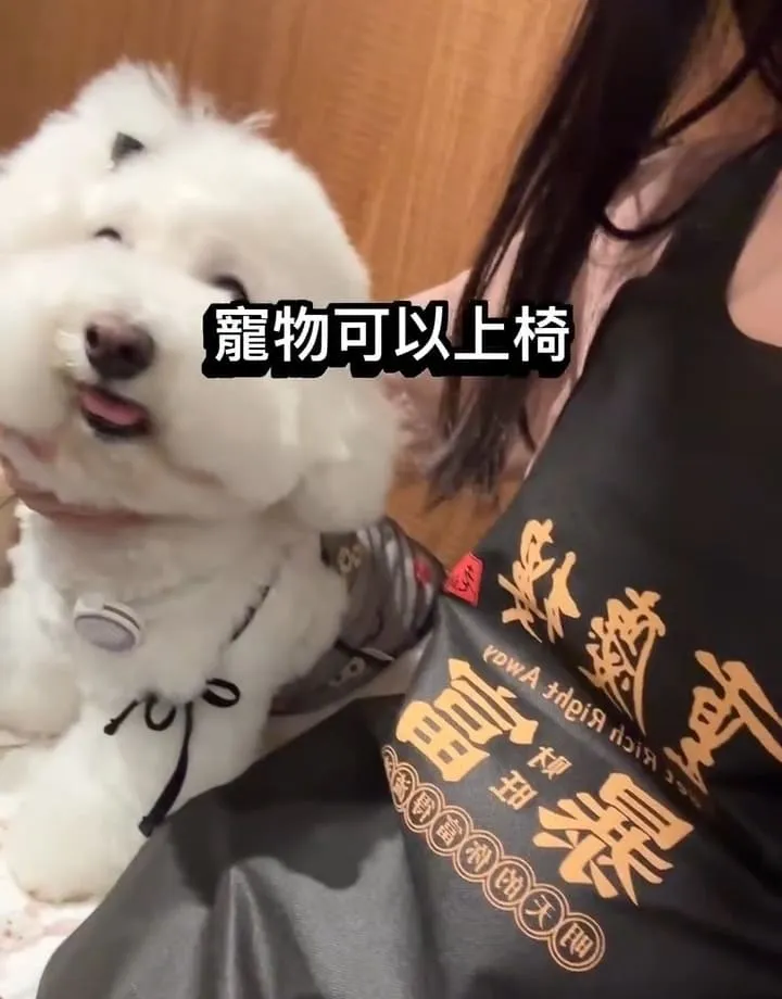 林口重慶樓老火鍋