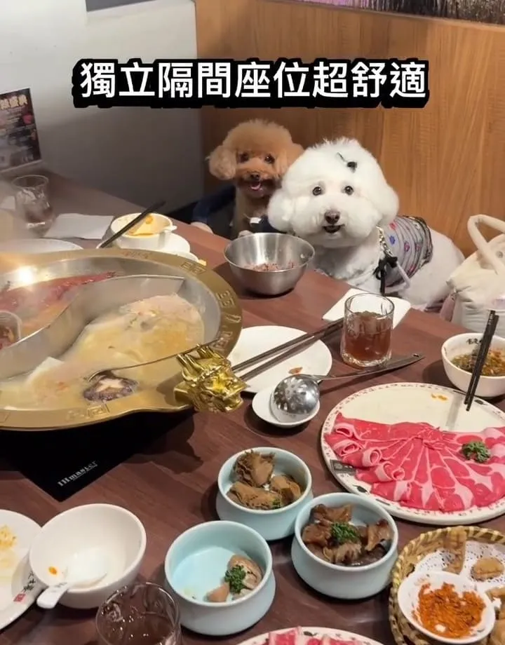 林口重慶樓老火鍋