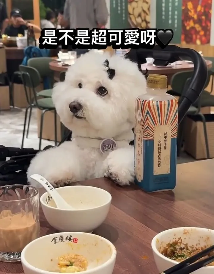 林口重慶樓老火鍋