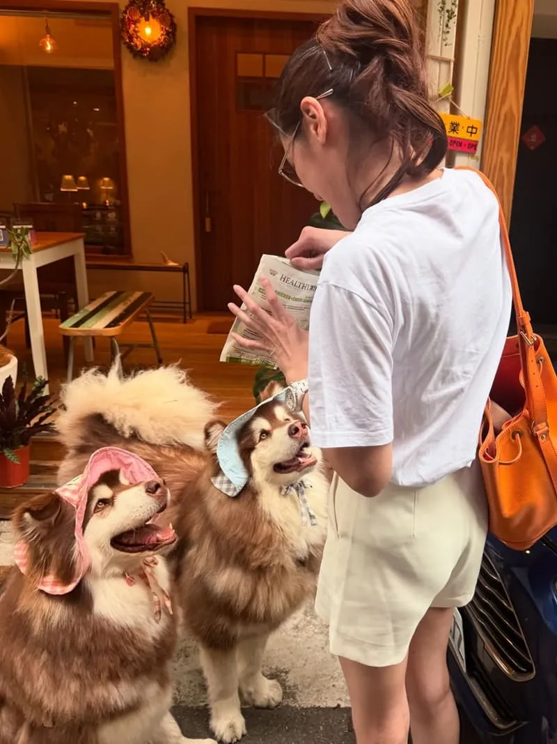 L'Unicorno Gelato義式手工冰淇淋