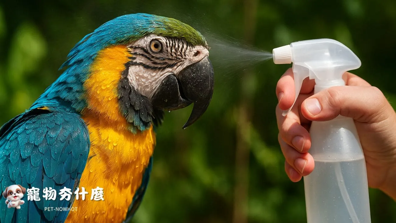 飼主細心為鸚鵡進行噴霧
