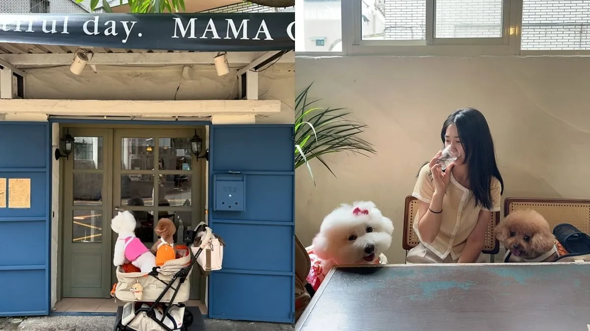 MAMA CAFE桃園異國料理咖啡廳