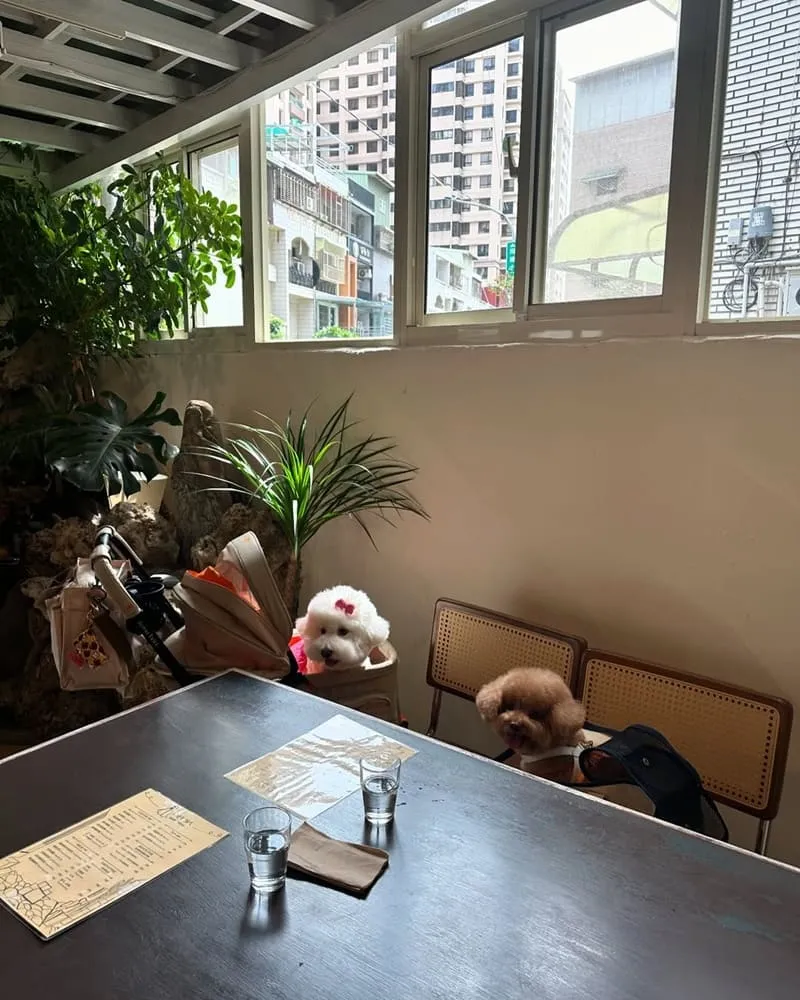 MAMA CAFE桃園異國料理咖啡廳