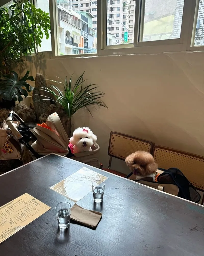 MAMA CAFE桃園異國料理咖啡廳
