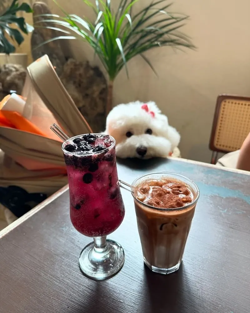 MAMA CAFE桃園異國料理咖啡廳