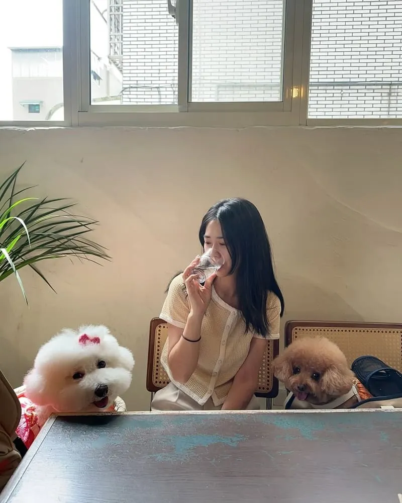 MAMA CAFE桃園異國料理咖啡廳