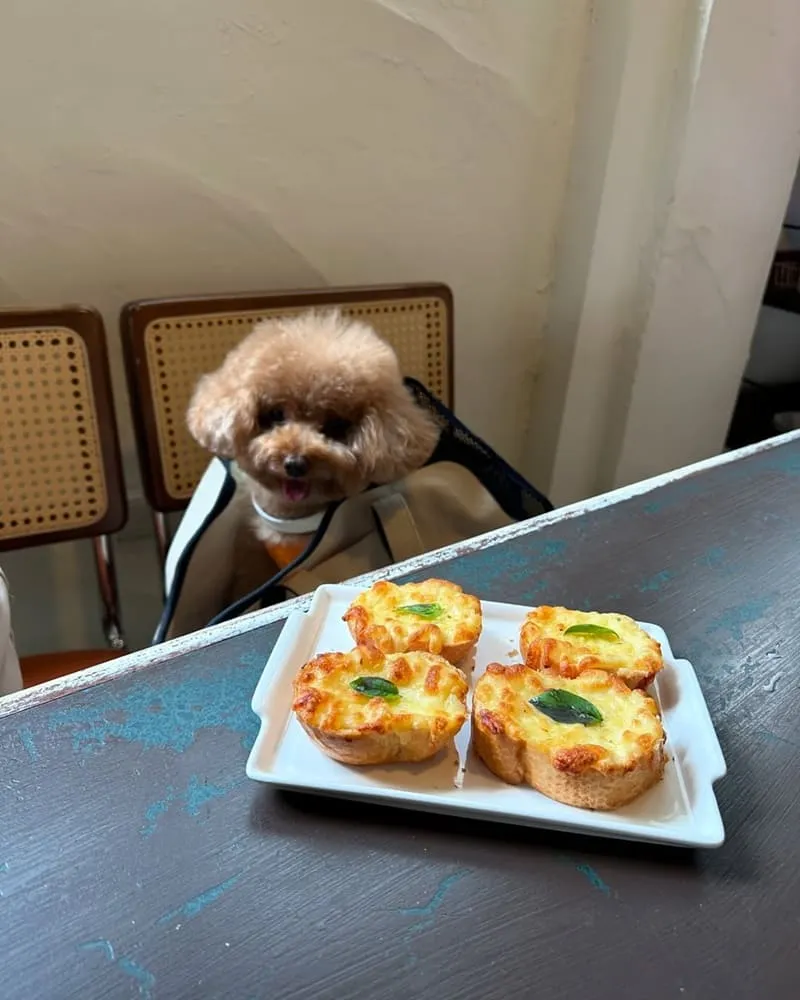 MAMA CAFE桃園異國料理咖啡廳