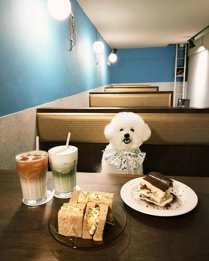 嘉義秘密客咖啡館