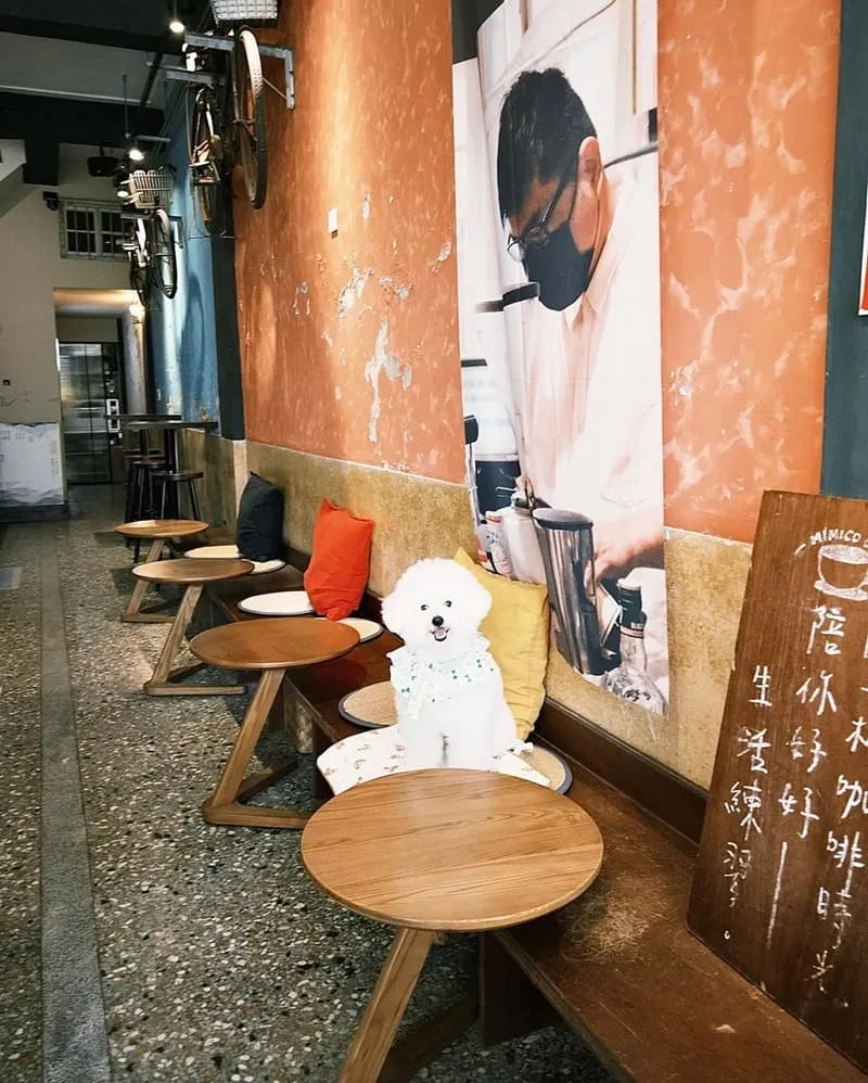 嘉義秘密客咖啡館