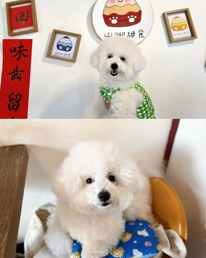 嘉義山腳甜食
