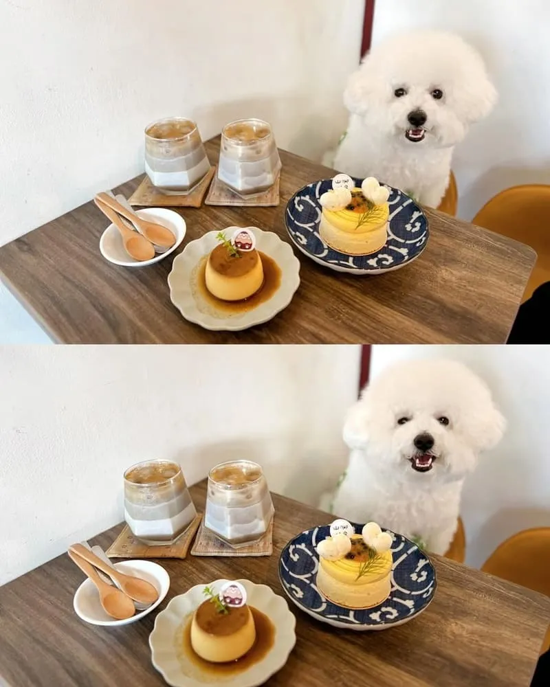 嘉義山腳甜食