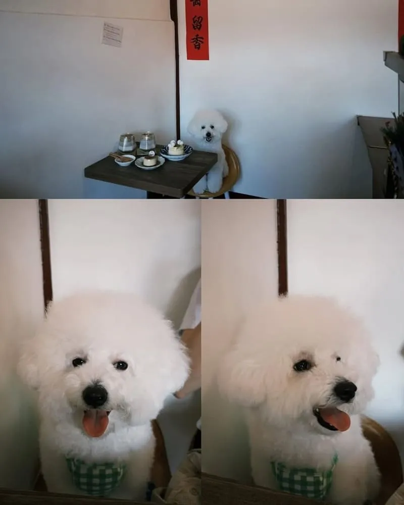嘉義山腳甜食