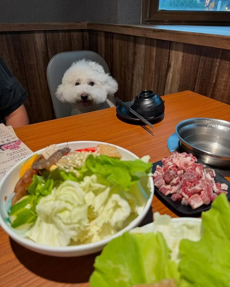 M's涮涮屋桃園店
