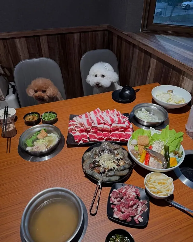 M's涮涮屋桃園店