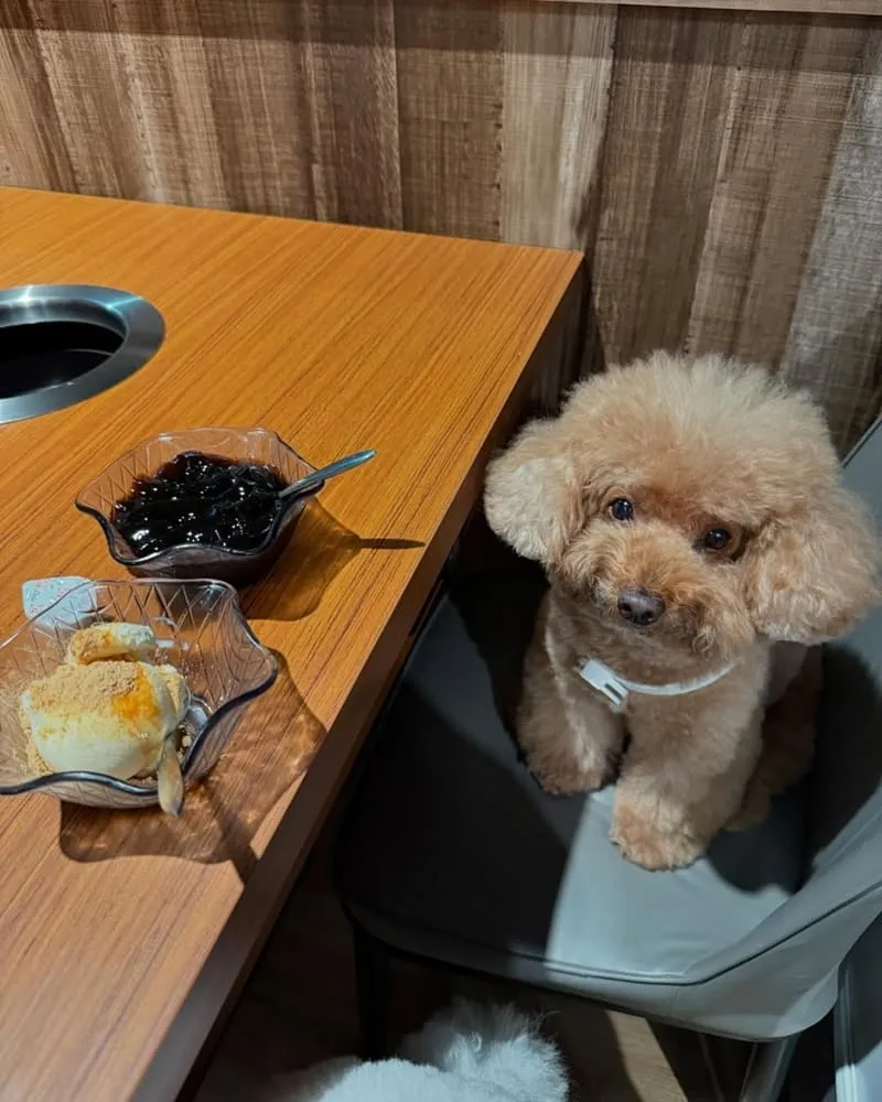 M's涮涮屋桃園店