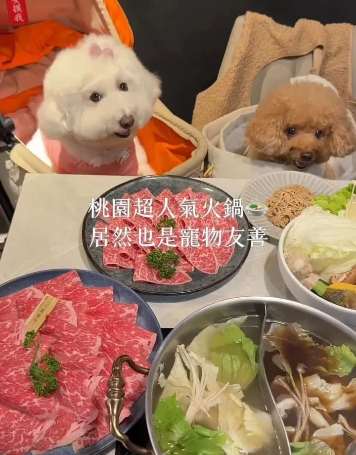 牧石鍋物桃園大興店