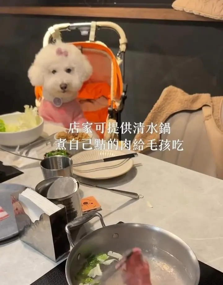 牧石鍋物桃園大興店