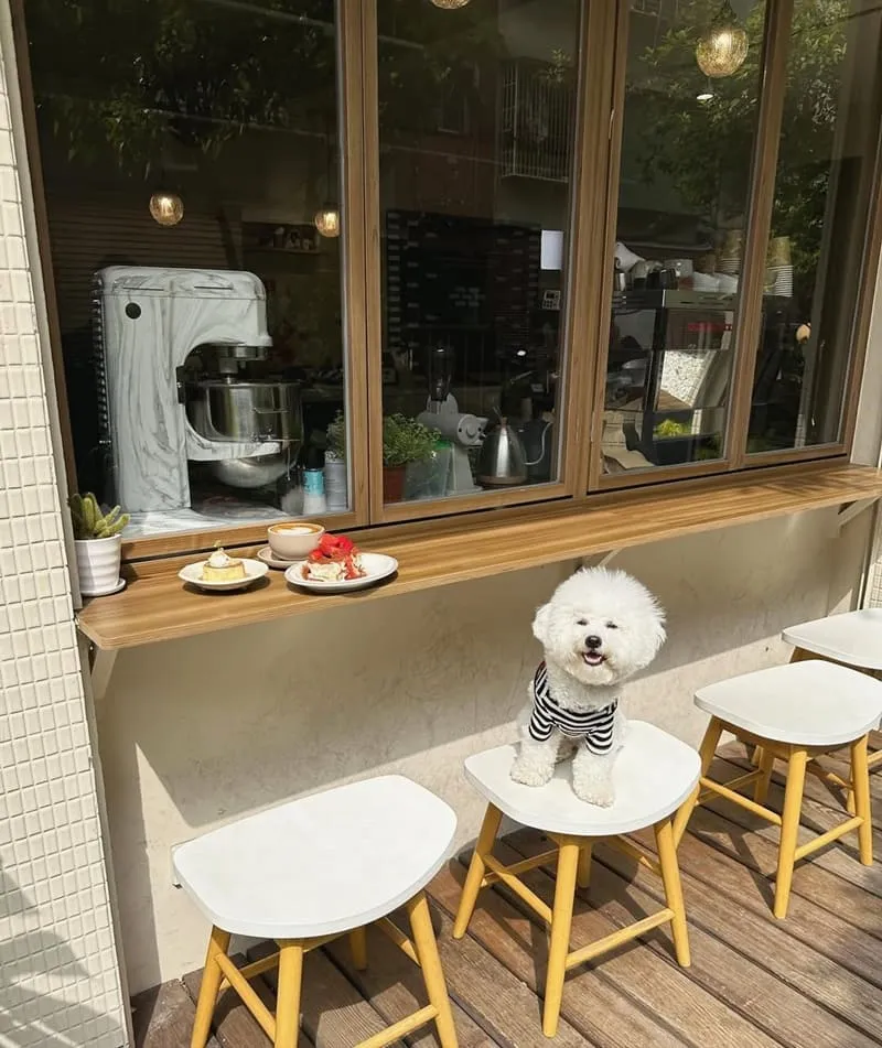 林椐咖啡新莊店